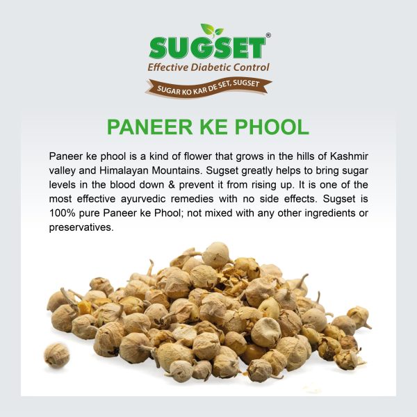 Sugset Natural Panner Phool