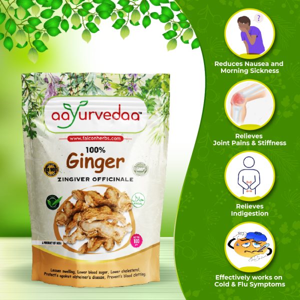 Ginger (ZingiverOfficinale)