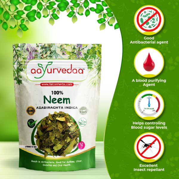 Neem (AzadirachtaIndica)